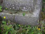 image of grave number 954084